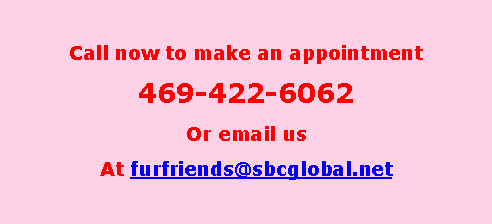 Text Box: Call now to make an appointment469-422-6062Or email usAt furfriends@sbcglobal.net